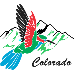 Colorado Hummingbird